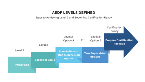 The Big Picture: AEDP Levels Defined – AEDP Institute